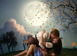 Женщины разных знаков Зодиака как героини романов