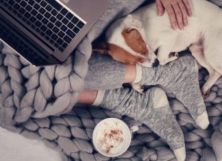 6 бюджетных предметов интерьера, которые вашу квартиру до неузнаваемости