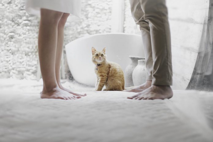 photo-1520261456177-6ec5aac5dbd2