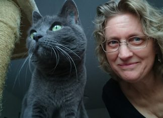 7 признаков в поведении кошки, которая буквально «влюблена» в своего хозяина