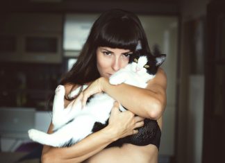 5 пород кошек, которые могут похвастаться высоким интеллектом