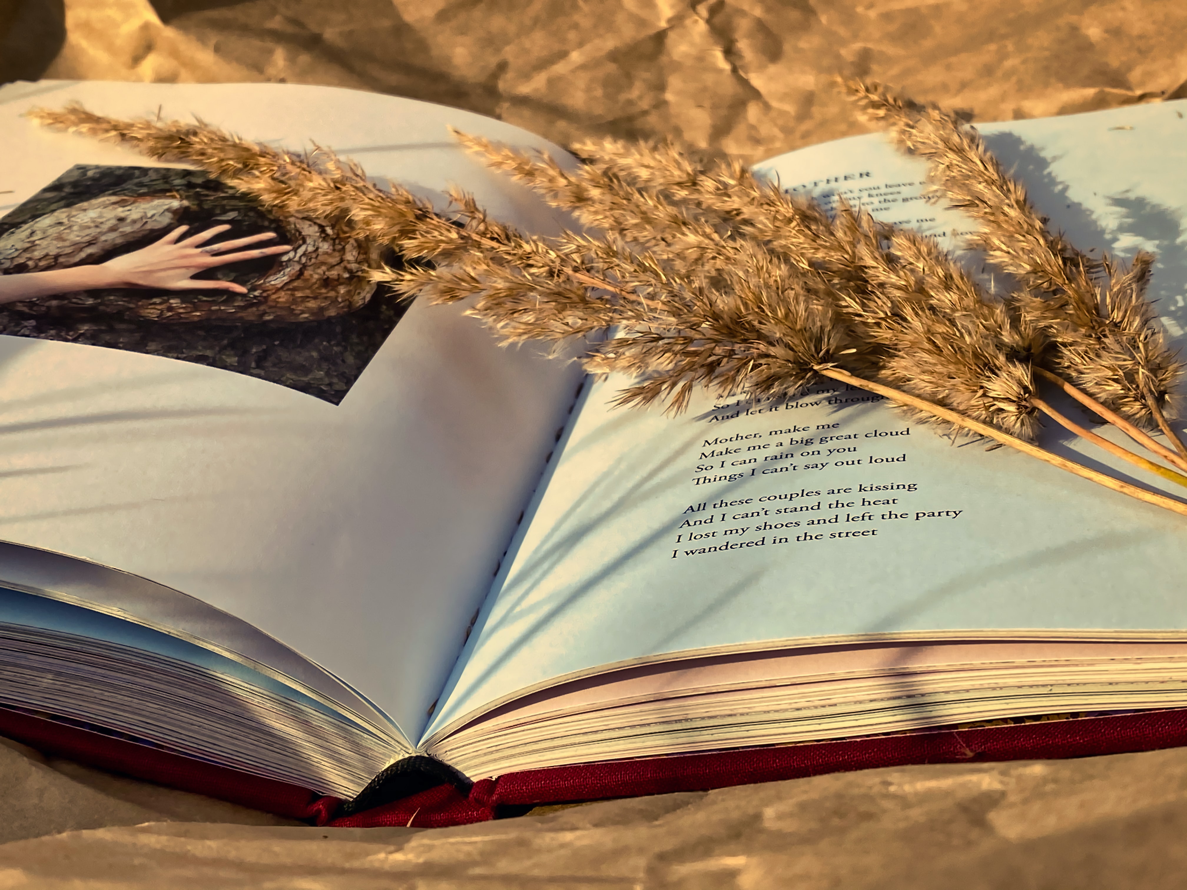 4 детские сказки, истинный смысл которых удивит любого взрослого