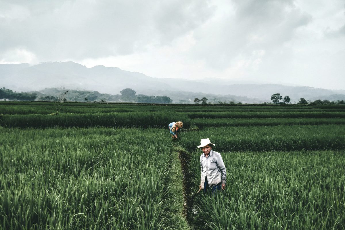 6 признаков, что у вас есть гены простых крестьян