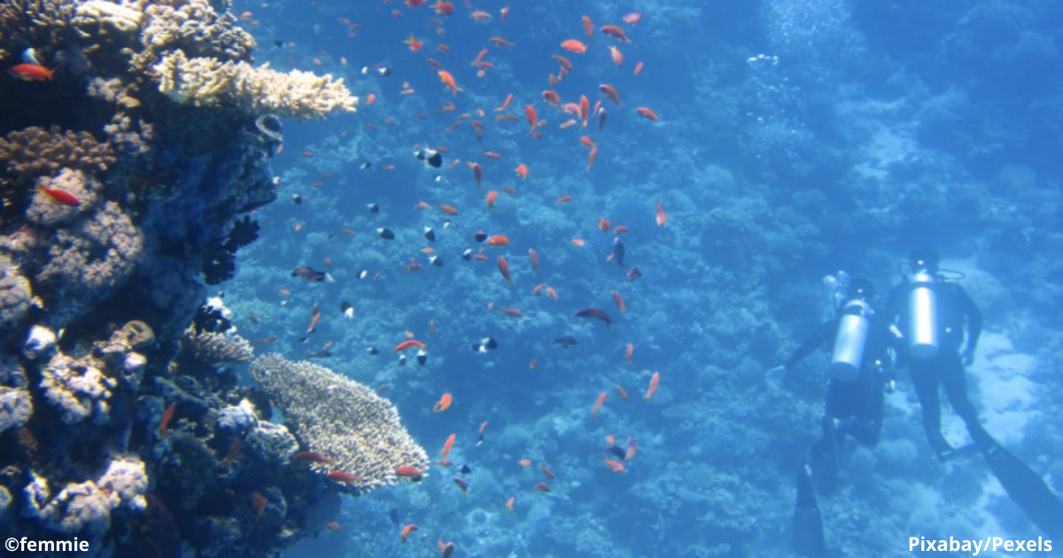 Том и Айлин Лонерганы. Трагическая история пары, которых забыли посреди моря