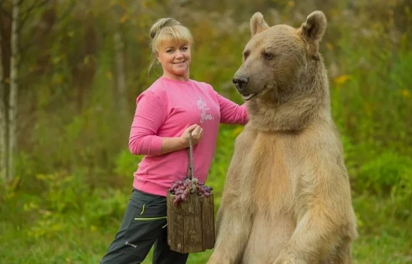 Анастасия лукашева медведь фото