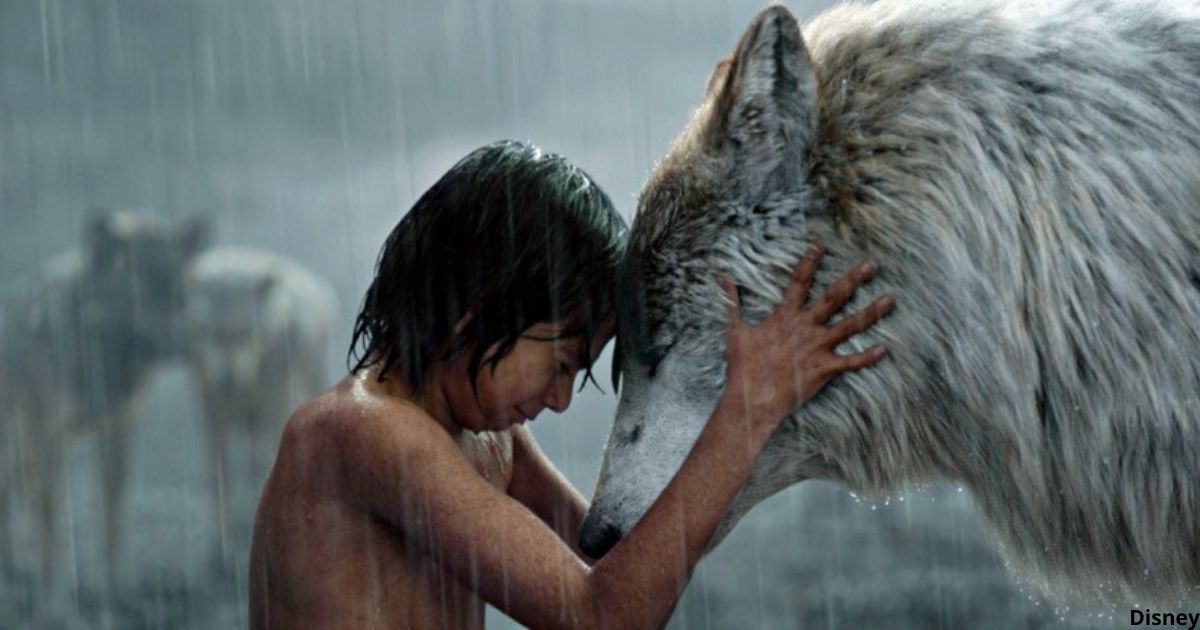 28-летний Маугли Иван Мишуков. Почему провел детство в своре собак и как живет сейчас