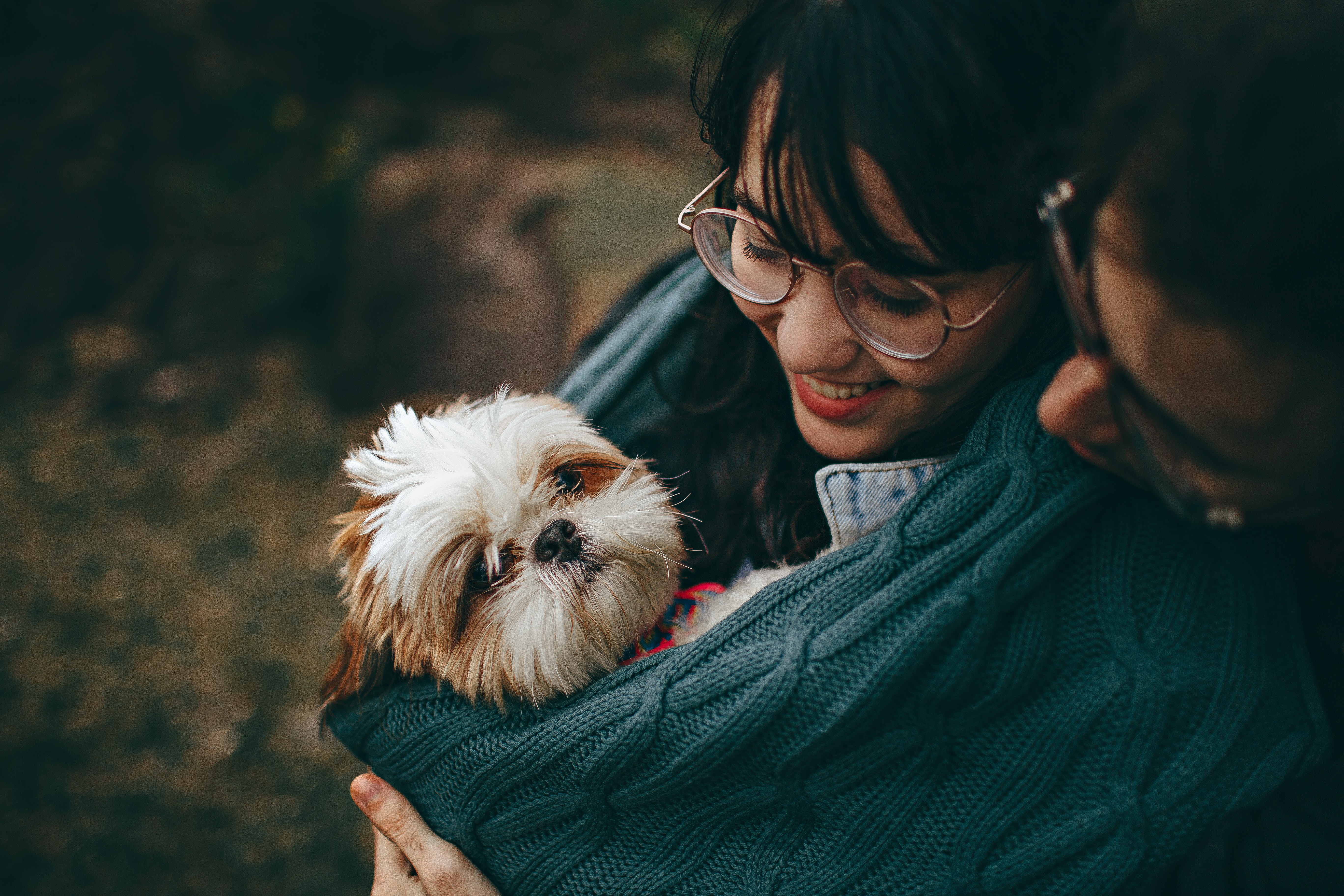 Love your pet. Любовь к питомцу. Идеальный питомец. Жизнь собаки в картинках. Щенячий взгляд у девушки.